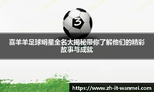 喜羊羊足球明星全名大揭秘带你了解他们的精彩故事与成就